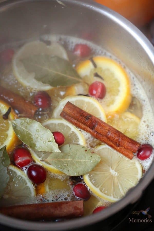 Homemade Christmas Potpourri Simmer Pot Recipe Natural Air Freshener