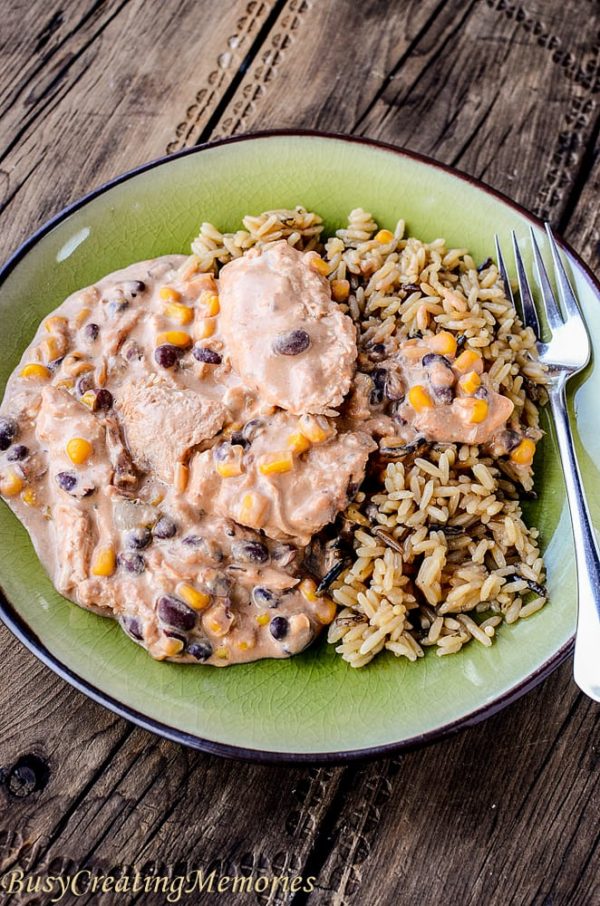 Salsa Slow Cooker Chicken from Frozen Chicken