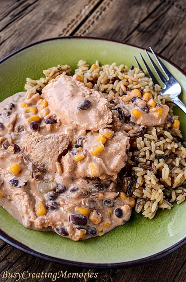 Salsa Slow Cooker Chicken from Frozen Chicken