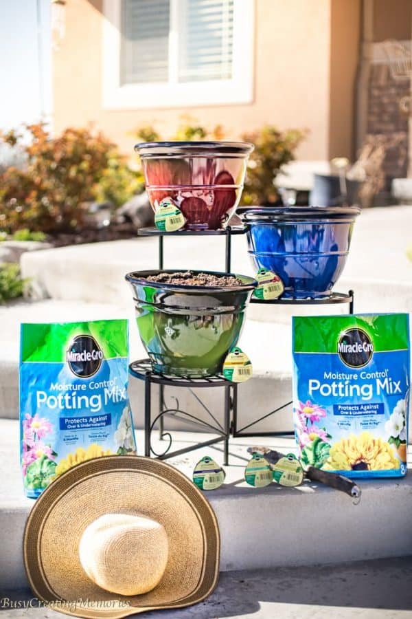 Gardening with Kids made easy with MiracleGro Groables