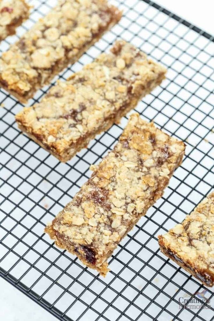 Fruit Filled Breakfast Cereal Bars Recipe For An Easy Morning On The Go Breakfast Cereal Bars 9 Of 23 735x1103 