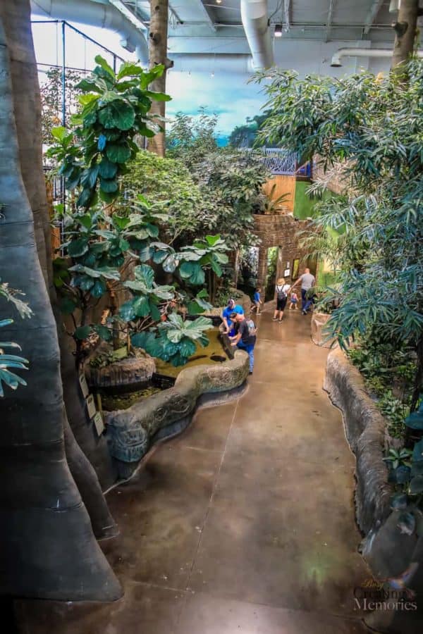 Top 10 tips for visiting the Loveland Living Aquarium A Family Guide