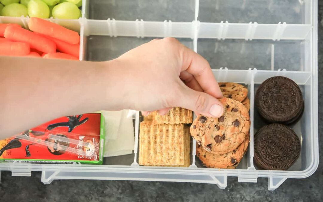 Snackle Box Ideas The Best Travel Snack box for kids & adults
