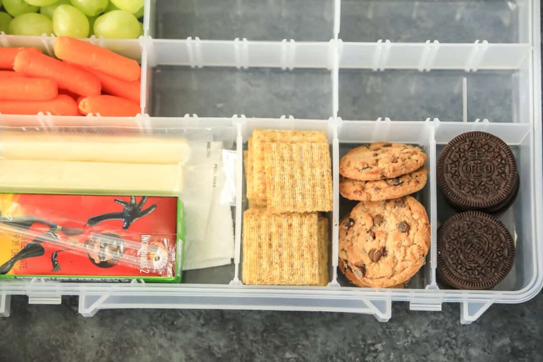 Because Snacks Snackle Box Ideas: The Best Travel Snack Box For Kids – PNSWG