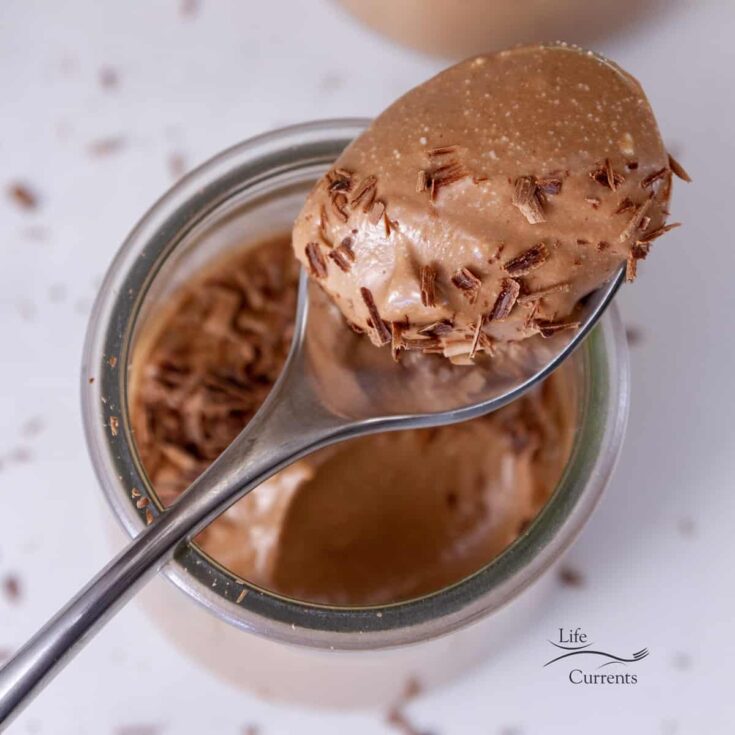 Image for Cottage Cheese Chocolate Pudding